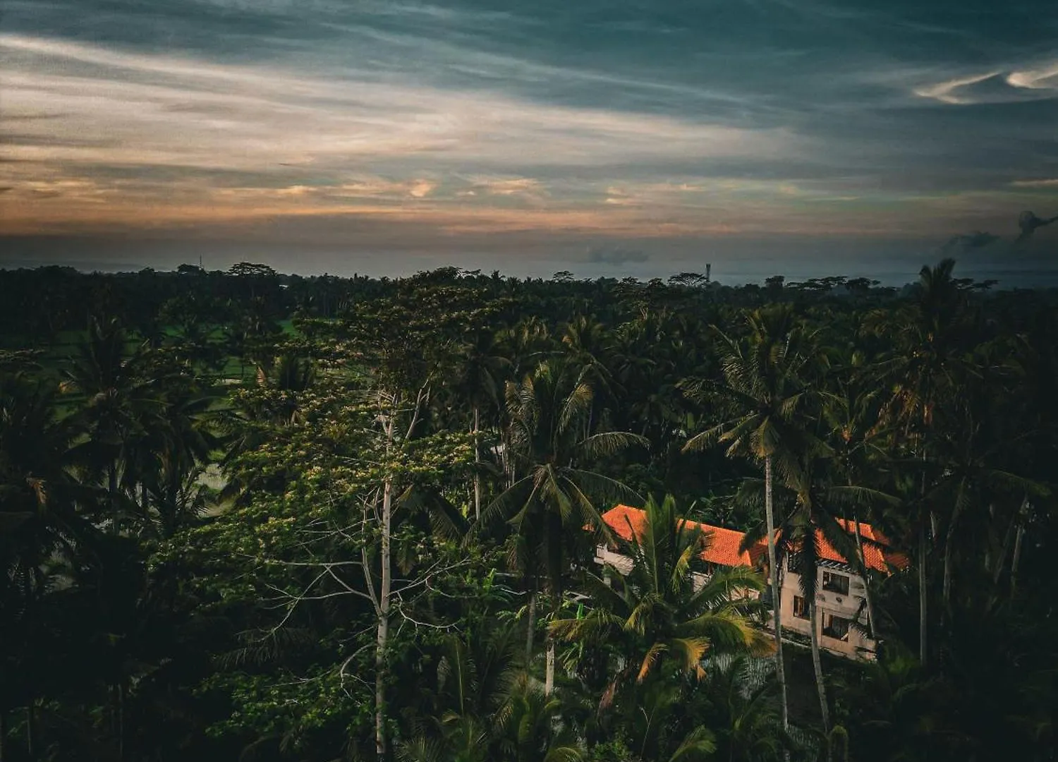 Hotel Ayu Duwur Beji Ubud Indonesia