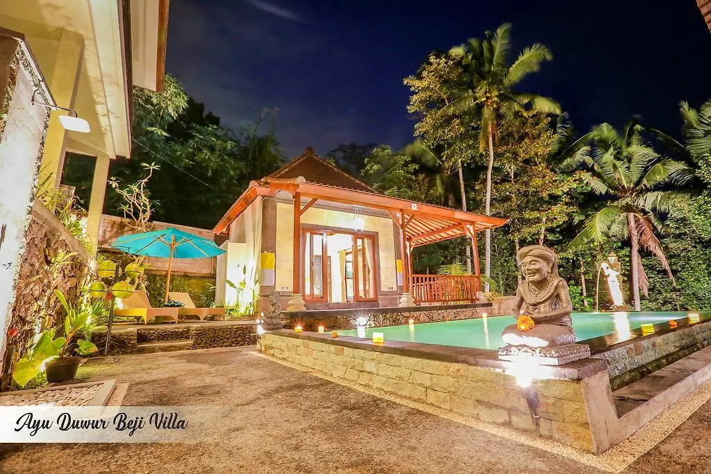 Ayu Duwur Beji Hotel Ubud  Guest house